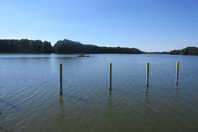 Appartamento per vacanze vicino alla foresta piano terra