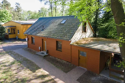 Complesso di vacanze Netzener See House 1.Li