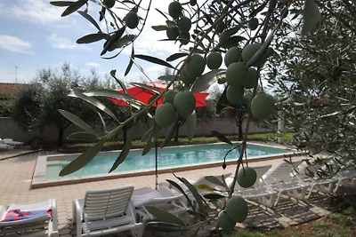 Appartamento rosmarino