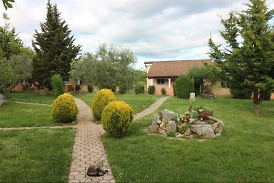 Ferienhaus mit Pool Melisa 56