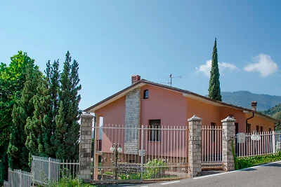 ansa Verde