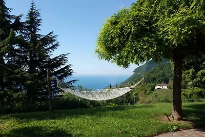 ansa Verde