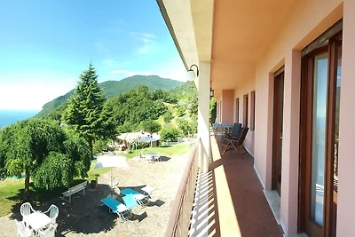 ansa Verde