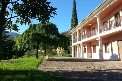 ansa Verde