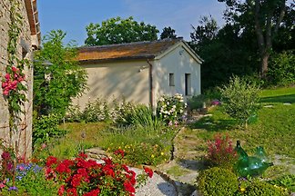 La Lucciola, CASCINA