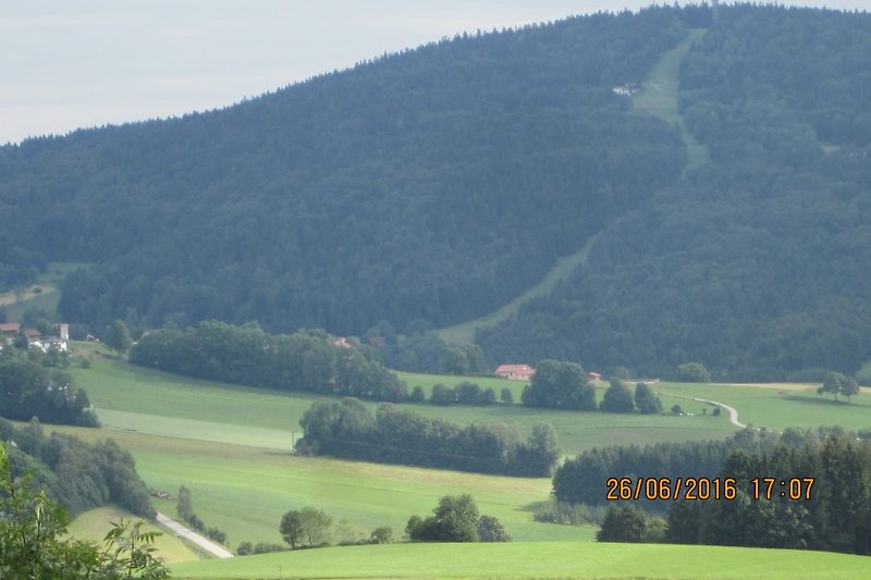 Oberfrauenwald