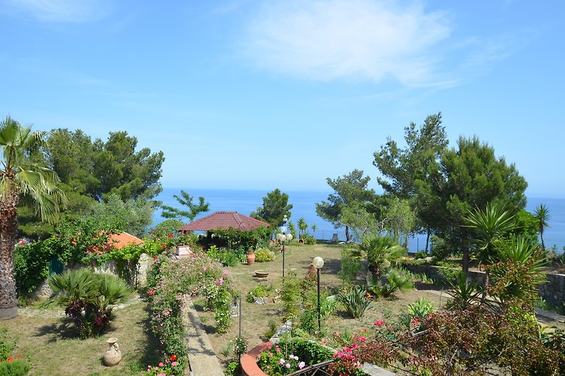 Garten Villa Masala