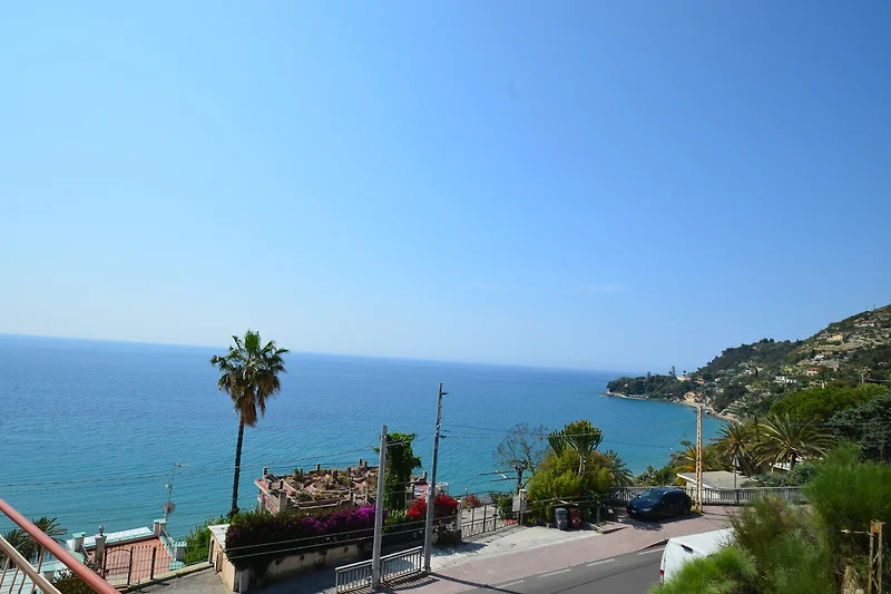 Traumhafter Meerblick mit Palmen, Strand und karibischem Flair.