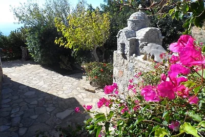 Marigos