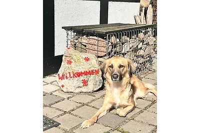 Kleine Fachwerk-Kate am Salzhaff