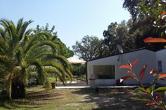 Villa 6/8
