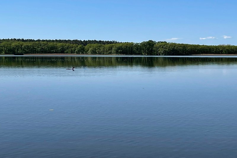 Der Holzendorfer See