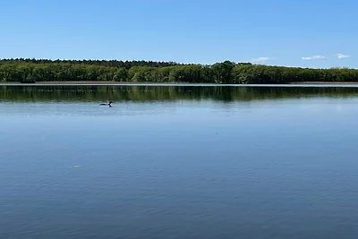 Ferienhäuschen "Am Blauen See"