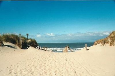 Norderney Ferienwohnung Meerblick