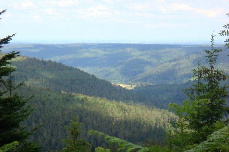 Ausblick über eines der vielen Täler des Nordschwarzwald