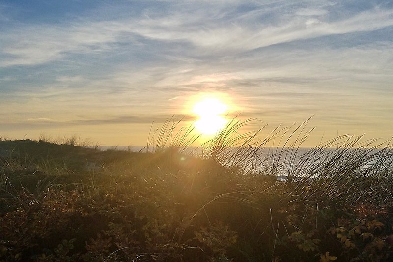 Schönster Sonnenuntergang in den Dünen am Meer