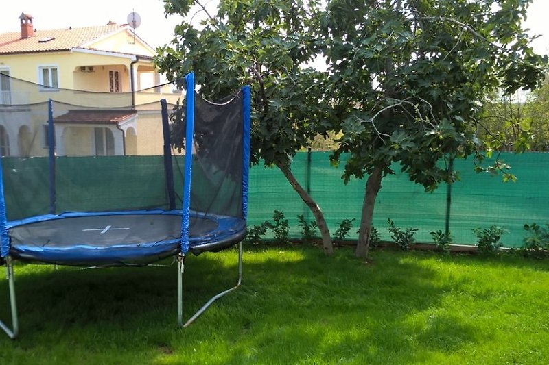 trampolin in the garden