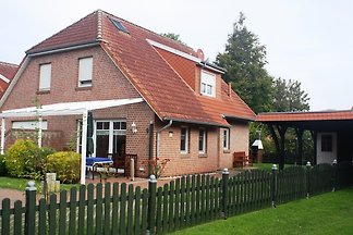 Möwennest