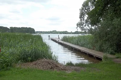 Fuoco, nuoto, pesca, ciclismo
