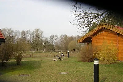 Fuoco, nuoto, pesca, ciclismo