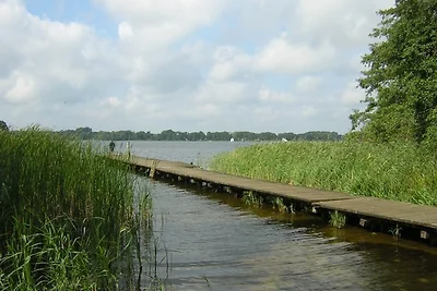 Fuoco, nuoto, pesca, ciclismo