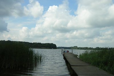 Fuoco, nuoto, pesca, ciclismo