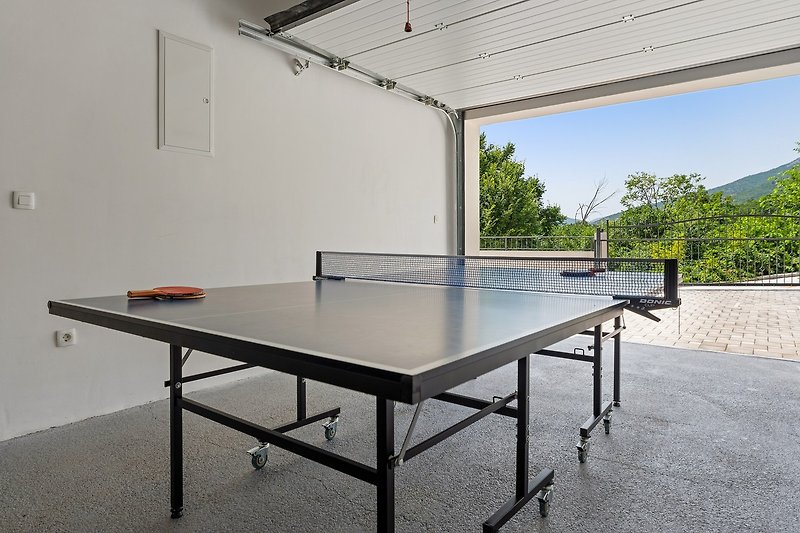 Eine Garage für ein Auto, Tischtennis und Darts (kann im Freien genutzt werden).