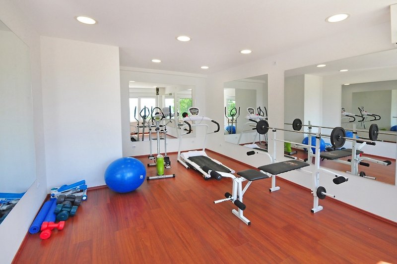 Gym with an exercise bike, stepper, bench, pilates ball