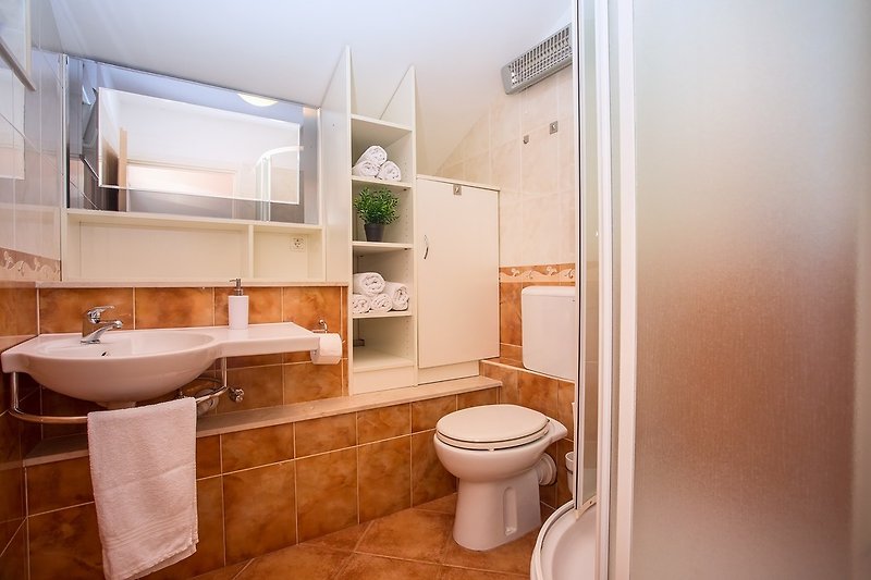 Salle de bain attenante avec douche dans la chambre n° 3