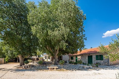 Tosic Estate – Villa, Weinberge und