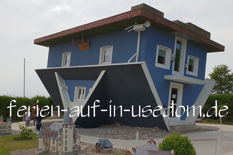 54 Best Photos Usedom Haus Auf Dem Kopf / Duett auf acht Pfoten: Die Welt steht Kopf