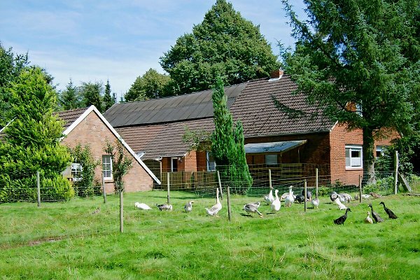 Ferienwohnung Brinkum