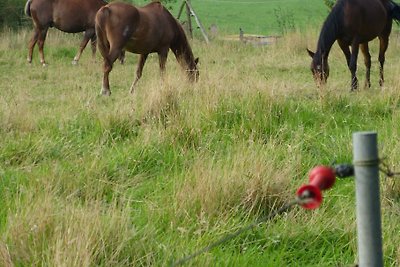 Bakhuis aan de wandelweg, met WLAN