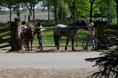 Scuderia per cavalli in piano per le vacanze