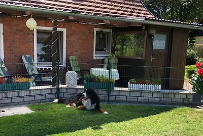 Ferienwohnung Bambus
