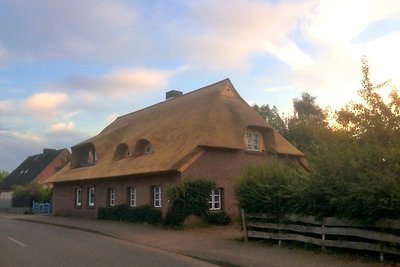 Huis met rieten dak Ness