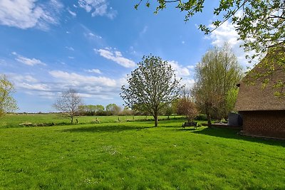 Kembs cottage con vista