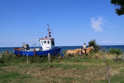 Schuppenloft in Lütjenburg