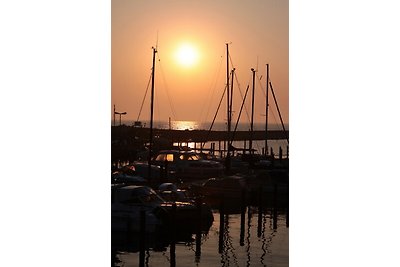 Das Waldhaus  an der Ostsee