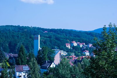 Casa per gruppi fino a 30 persone nelle montagne di Harz