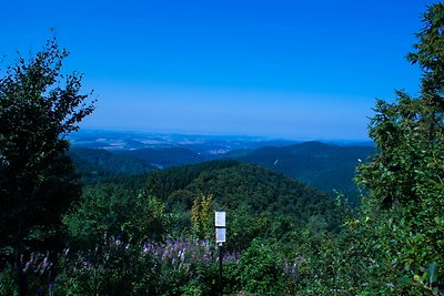 Groepshuis voor maximaal 30 personen in de Harz