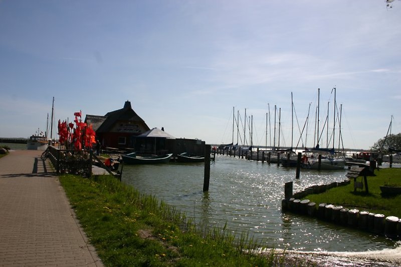 Der Boddenhafen Landseite