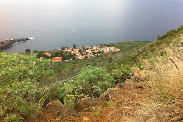 Villa Traumblick **** mit Pool in El Sauzal - Frau U. von Knippenberg