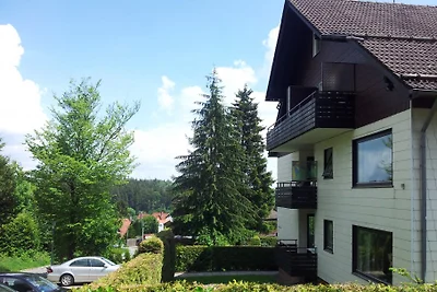 FW Panorama con sauna e balcone