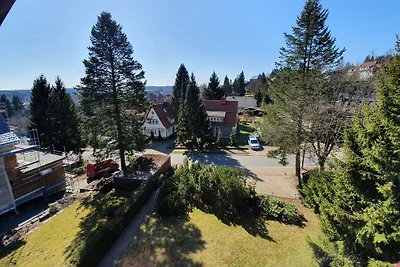 FW Panorama con sauna e balcone