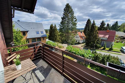 FW Panorama con sauna e balcone