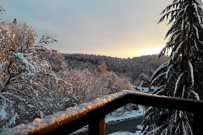 Appartamento per vacanze con vista sul bosco