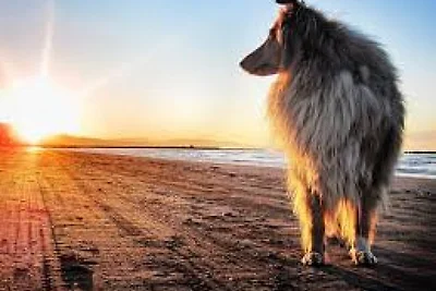 Golden Beach