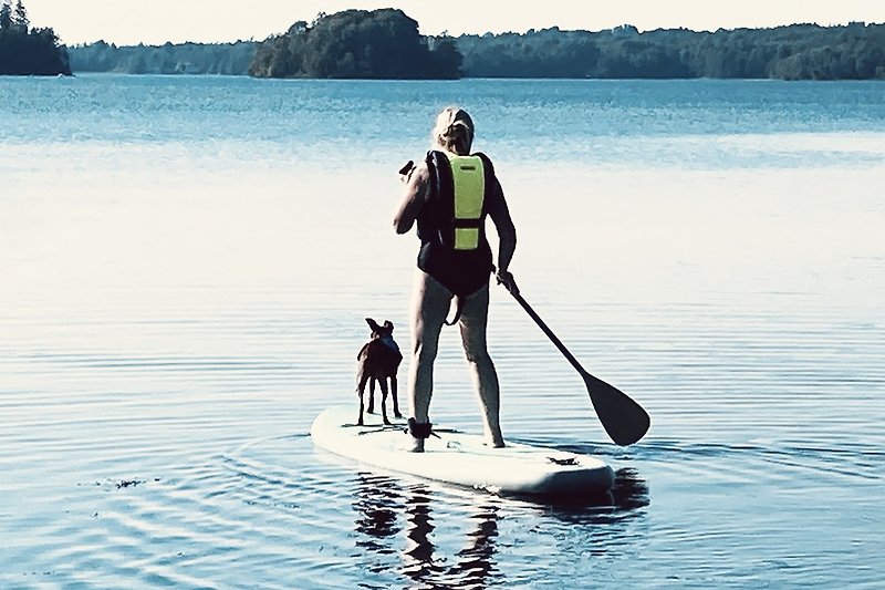 Wassersport mit Hund: Surfen, Paddeln und Spaß am See.