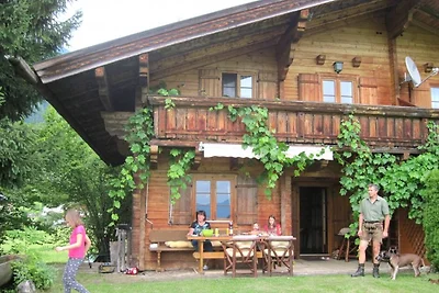 Ferienhaus Höllwart - Pfarrwerfen